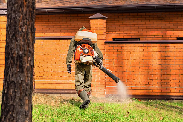 Trusted Fumigation Services service in Tarrytown, NY - Nex Pest Control